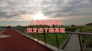 人生抉择艺术：探索自我，智慧导航梦想路