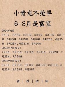 2024龙年宝宝取名攻略：吉祥好名，传承美好愿景
