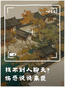 揭秘热门聊天软件：如何在线邂逅知己？