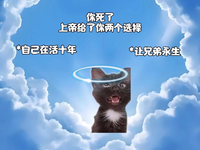 决策艺术与心理挑战：克服选择困境的智慧策略