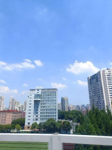 勇闯人生路：坚定选择，无畏前行