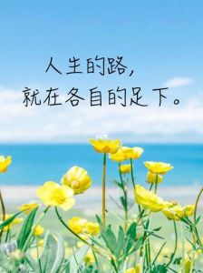 独自航行者：自我努力与人生真谛