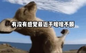 揭秘不顺原因及破解之道，重拾生活活力