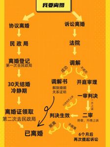 离婚手续全解析：协议与诉讼，揭秘每一步！