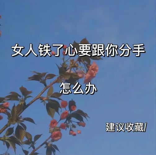 揭秘女性离婚心理：挣扎与坚持的真相