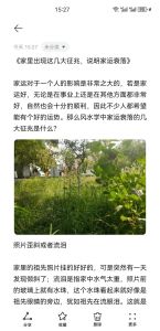 家运起伏之谜：揭秘持续时长与应对之道