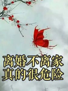离婚不离家：揭秘困境与自我成长之路