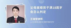 18岁后抚养权：父母离婚财产分配与情感平衡之道