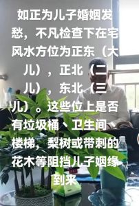 多元策略助孩子婚姻无忧：法律风水心理文化全方位指南