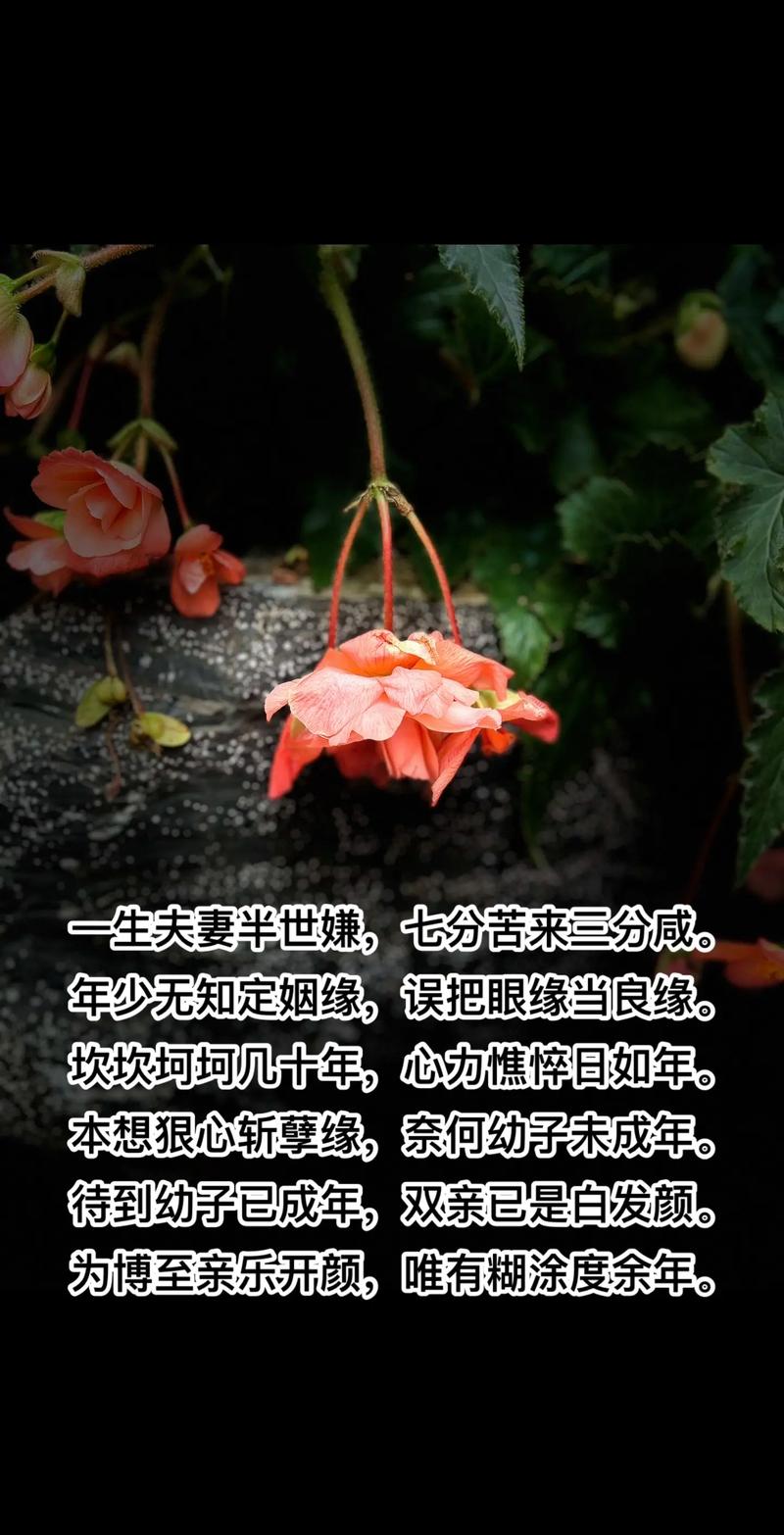 离婚转折：揭秘失衡婚姻与爱的真谛