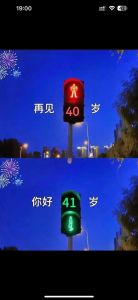 41岁属猪狗逆袭指南：事业感情双丰收秘诀