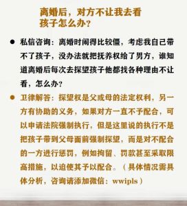 离婚探望权纠纷处理：法律策略与孩子权益保障