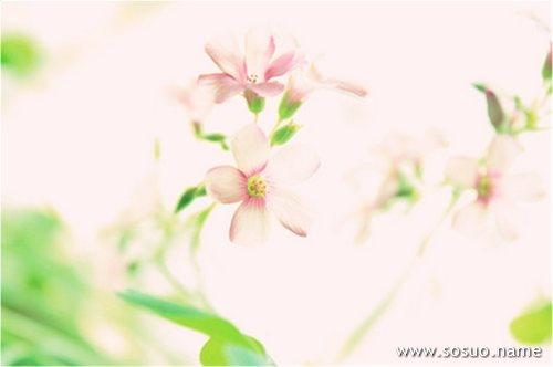破解运势压制：道教仪式与风水布局秘籍