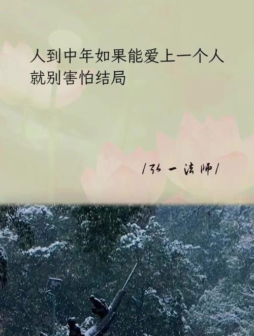 中年情感平衡：理智与情感的和谐之道