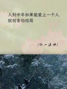 中年情感平衡：理智与情感的和谐之道