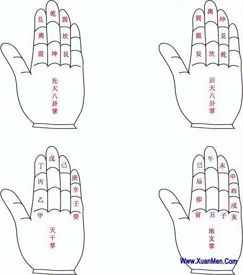 入门算命指南：探索神秘学问的智慧之旅
