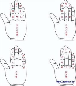 入门算命指南：探索神秘学问的智慧之旅