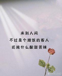 错位时光：中年邂逅的无奈爱情故事