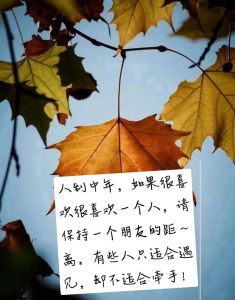 中年心动：理智与情感的平衡之道