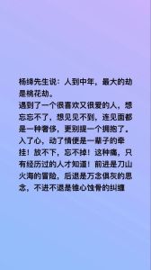 中年邂逅：理智与责任的两难抉择