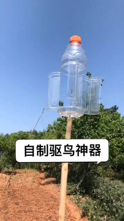 春耕驱鸟攻略：实用驱鸟技巧守护丰收