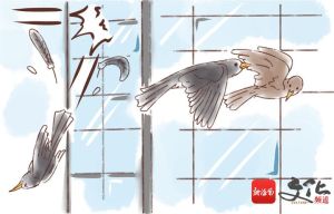 解梦奇遇：未怀孕梦境揭秘，潜意识心理探索