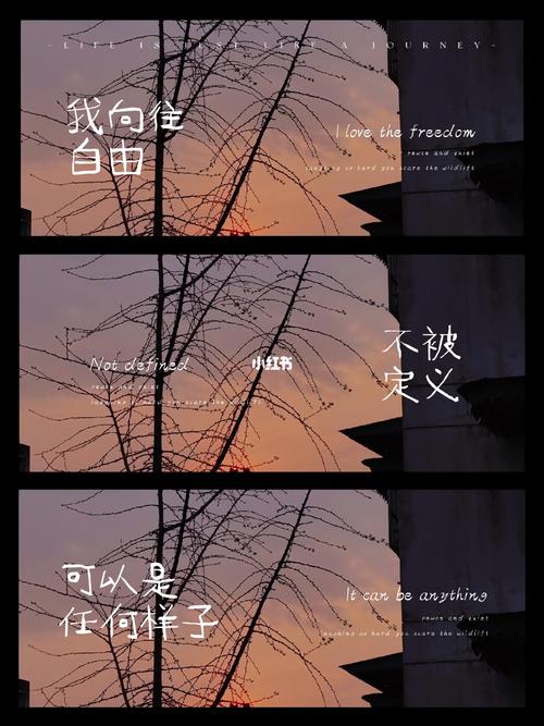 揭秘生活兴趣缺失：重燃热情的5大策略