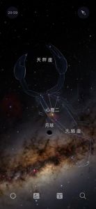 揭秘天蝎：阴历10月8日生的神秘智慧者