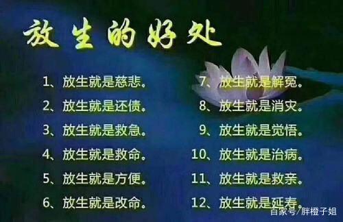 放生益处多：慈悲积德，生态平衡之道