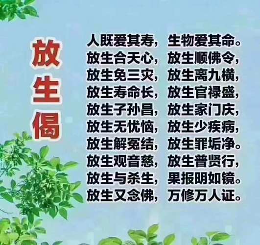 佛教积德秘籍：放生行善，改变命运的力量