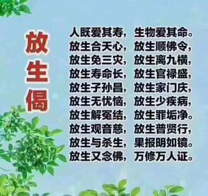 佛教积德秘籍：放生行善，改变命运的力量