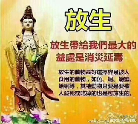佛教放生：净化心灵，延寿改运的神奇之旅