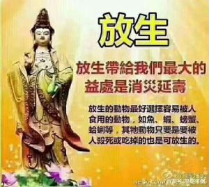 属狗天蝎男：深情堡垒下的爱情奥秘
