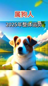 属狗11月5日出生者命运揭秘