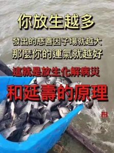 夫妻沟通障碍揭秘：打造理解包容婚姻之道