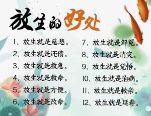放生新视角：传统美德与现代生态关怀