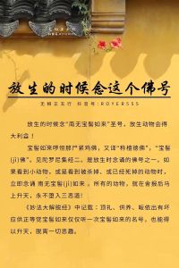 佛教放生：连接自然，净化心灵的善举之旅