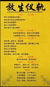 揭秘亮片服饰：女性时尚自信的密码
