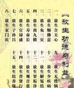 放生积阴德：探寻幸福人生的放生智慧