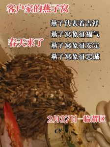 燕子进屋：吉祥寓意与和谐生活之美