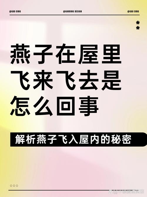 燕子飞入家中的奥秘：吉祥文化内涵解析