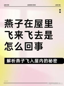 燕子飞入家中的奥秘：吉祥文化内涵解析