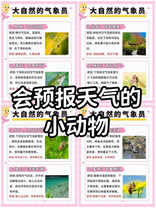 燕子进屋十大吉祥预兆，揭秘幸福风水奥秘！