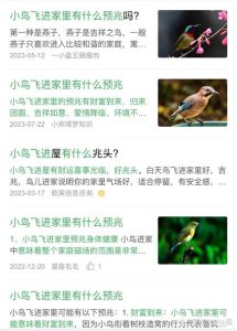 鸟儿家门口死亡：传统象征与现代科学解读