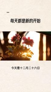 孟庭苇冬月十四生日：揭开冬月十四的文化密码与命运之谜