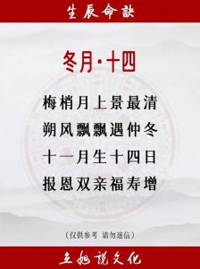 冬月十四出生者的独特命运解析