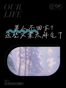 晚归之谜解：婚姻沟通的艺术攻略