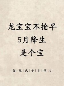 2024农历十一月龙宝宝：命运解析与天赋揭秘
