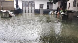 破解家居灾祸之谜：风水八字调好运！