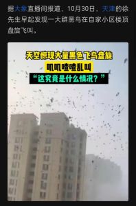 黑鸟入宅：风水吉凶揭秘与化解方法